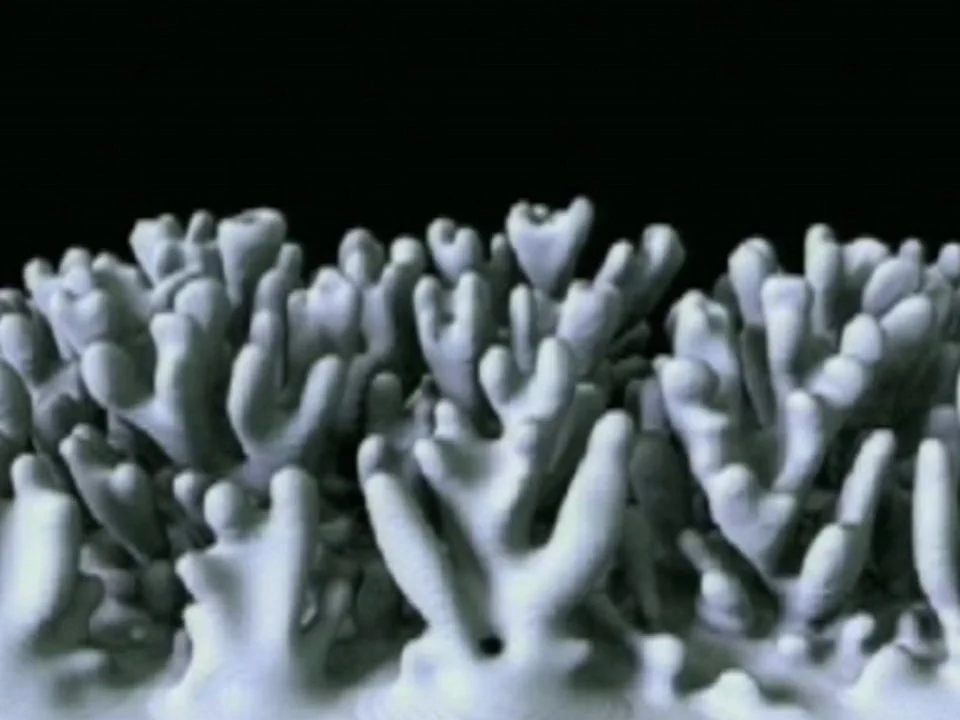 Nervous System - Eyeo Festival 2011 — 公式動画のサムネイル